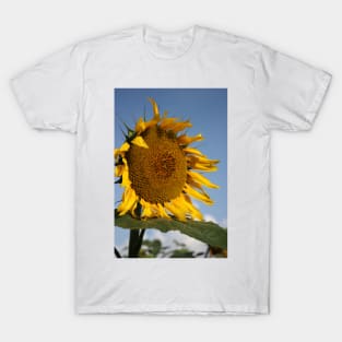 Bright and Colorful Kansas Sunflower T-Shirt